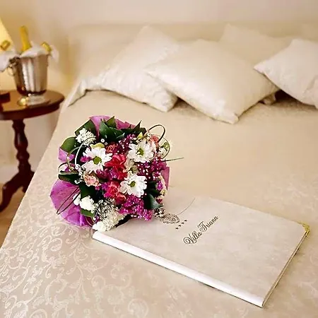 Triana-adults Only 4*