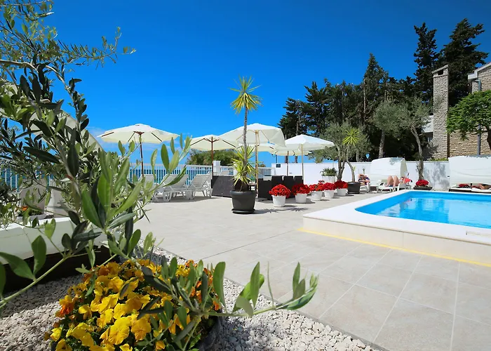 Triana-adults Only Zara