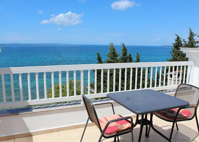 Triana-adults Only Zara