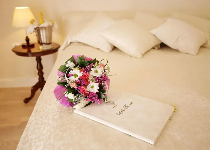 Triana-adults Only Zara